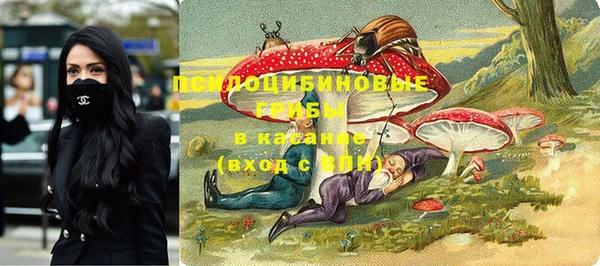 a pvp Абинск