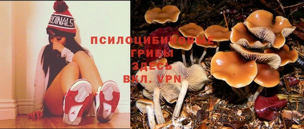 хмурый Абдулино