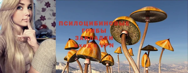дживик Абаза