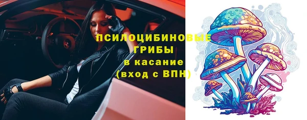 дживик Абаза