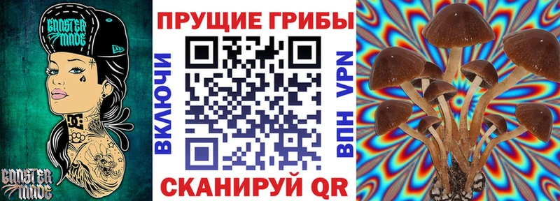 Галлюциногенные грибы Psilocybe  Рославль 